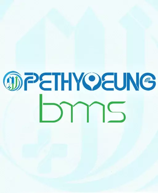 Pethyoeung Service